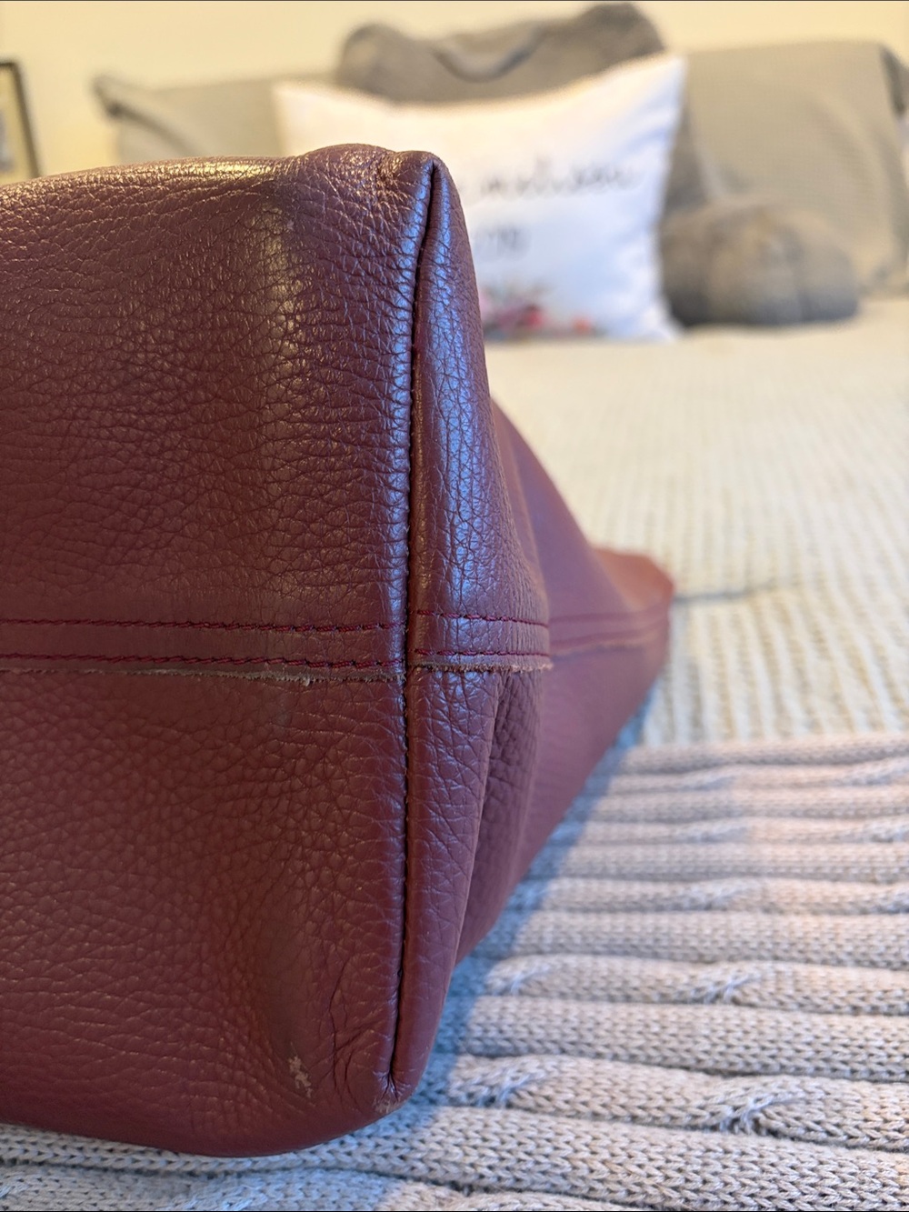 Cuyana Zippered Leather Tote with Monogram - Picture 10 of 10